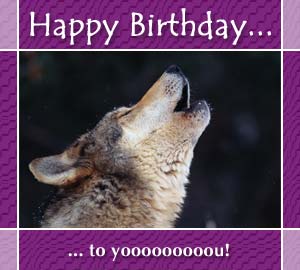 wolfbirthday.jpg