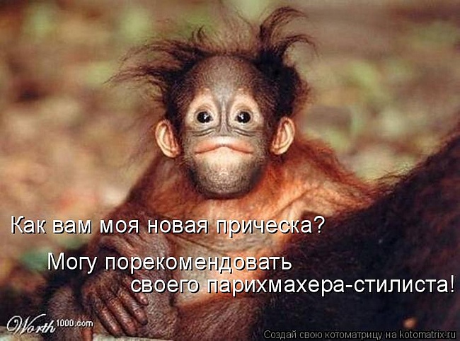 обезянка.jpeg